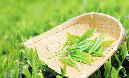 喜讯——佰盛汇星又受理发明专利一项