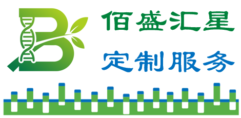 抗体定制服务